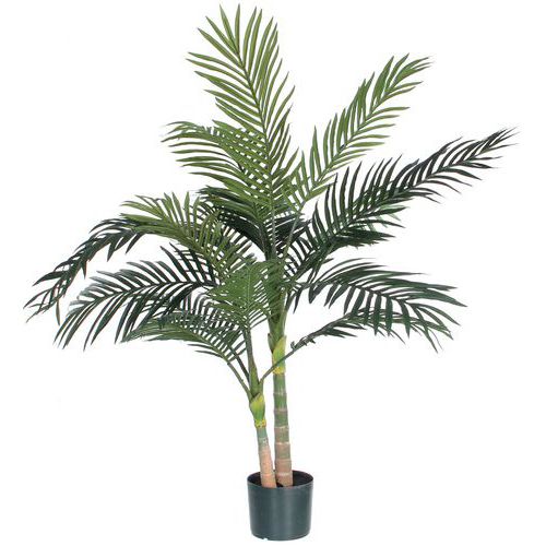 Palmera Areca Golden Cane 120 cm - Vepabins