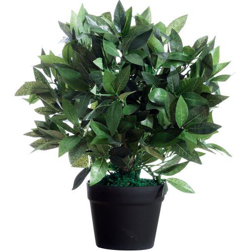 Planta artificial de laurel