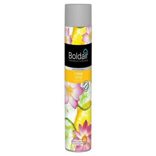 Aerosol con perfume Boldair - 750 ml