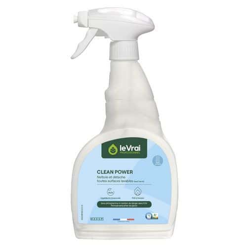 Quitamanchas para suelos y superficie - 750 mL Le vrai professionnel